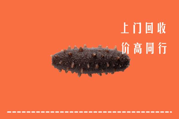 高价求购：竞秀区回收海参