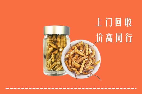 竞秀区回收冬虫夏草